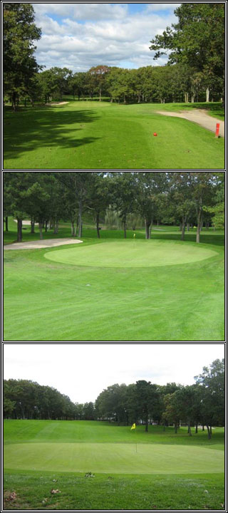 hole11